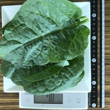 ツルムラサキ 78g