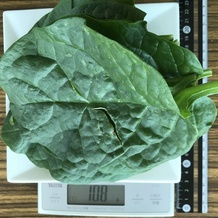 ツルムラサキ 108g