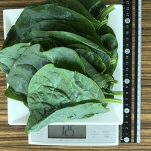 ツルムラサキ 125g