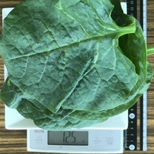 ツルムラサキ 125g