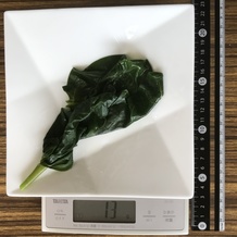 茹でたツルムラサキ 13g