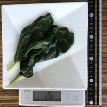 茹でたツルムラサキ 26g