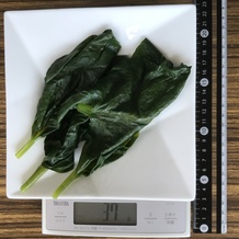 茹でたツルムラサキ 37g