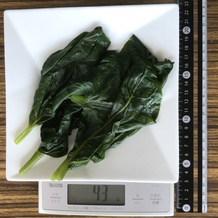 茹でたツルムラサキ 43g