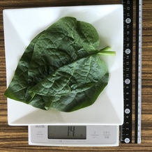 ツルムラサキ 14g