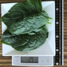 ツルムラサキ 27g