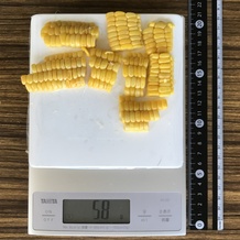 とうもろこし 58g