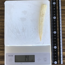 ベビーコーン1個 14g