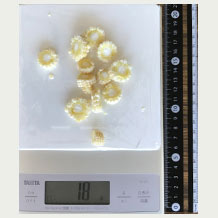 ベビーコーン1個 (スライス) 18g