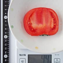 トマト輪切り1枚