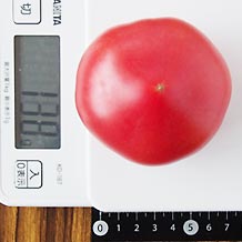トマト カロリー計算 栄養成分 カロリーslism