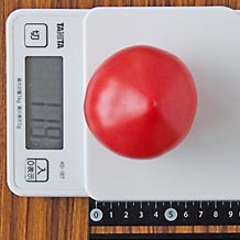 トマト1個(小)