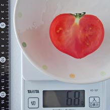 トマト(中)半分