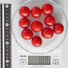 処理済ミニトマト10個