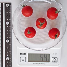ミニトマト5個
