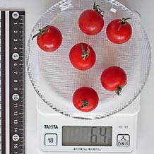 ミニトマト6個