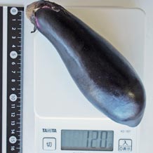 なす大(生)120g