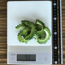 ゴーヤ(スライス) 43g
