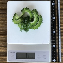 ゴーヤ(スライス) 43g