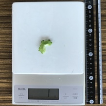 ゴーヤ(スライス) 1