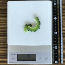 ゴーヤ(スライス) 4g