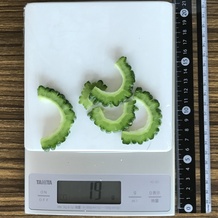 ゴーヤ(スライス) 19g