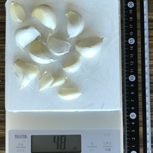 にんにく 48g