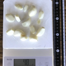 ににんにく (広げた) 48g 