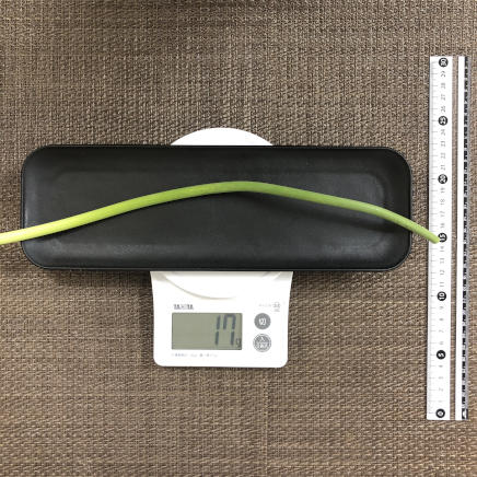 1本分の茎にんにく
