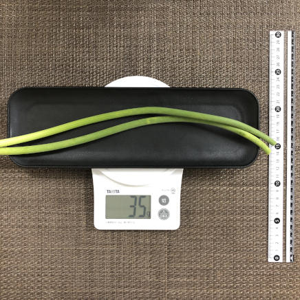 2本分の茎にんにく