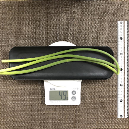 3本分の茎にんにく
