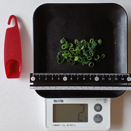 皿に並べた2gのこねぎ