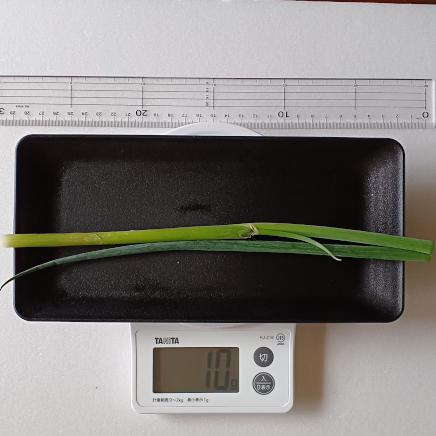 こねぎ1本 10g