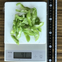 ピーマン (上と下を細く切った) 41g