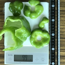 ピーマン2個 99g