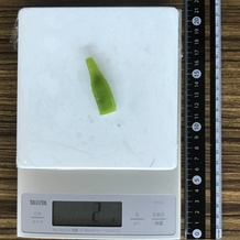 ピーマン (細く切った) 2g