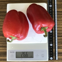 赤ピーマン 266g