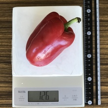 赤ピーマン 126g