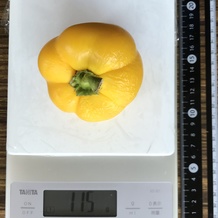 黄ピーマン (丸ごと) 115g