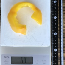 黄ピーマン (横) 64g