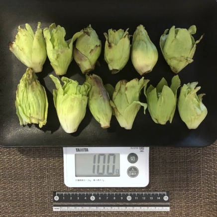 100gのふきのとう