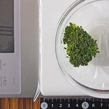 ブロッコリ1房(小)の上面