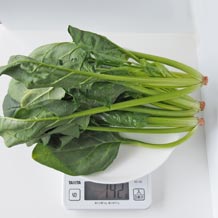 ほうれん草3茎（生）