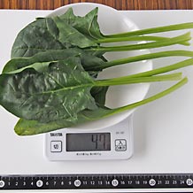処理済ほうれん草(生)