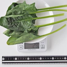 処理済ほうれん草(生)