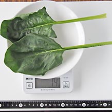 処理済ほうれん草(生)