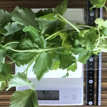 みつば1パック 55g