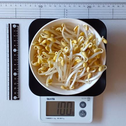中皿に入れた大豆もやし100g