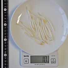 処理済もやし10g