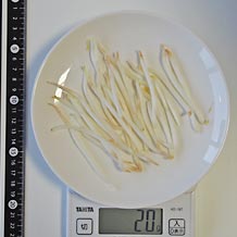 処理済もやし20g